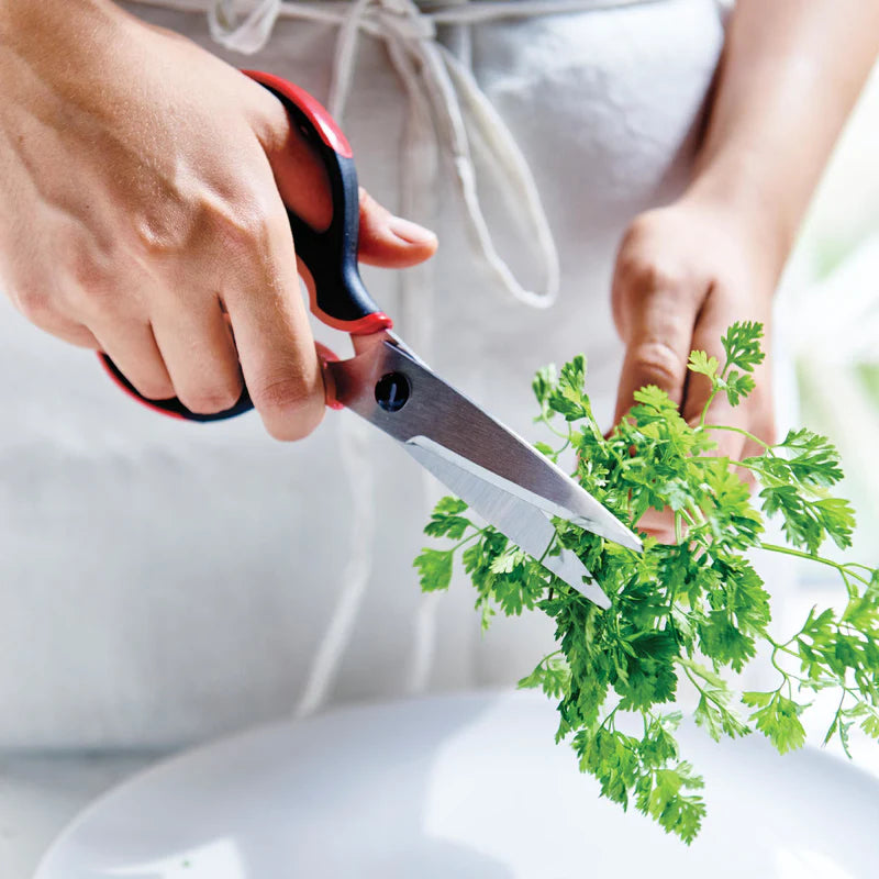 Kitchen Shears