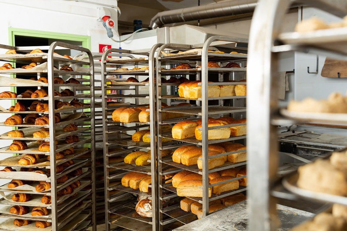 Storage & Transport - Shelving, Storage Racks, & Food Carriers
